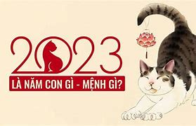 Bé Sinh Năm 2023 Mệnh Gì