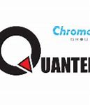 Quantel Global Việt Nam