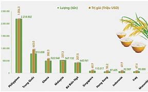 Xuất Khẩu Gạo Sang Thị Trường Mỹ 2024 Mới Nhất Download